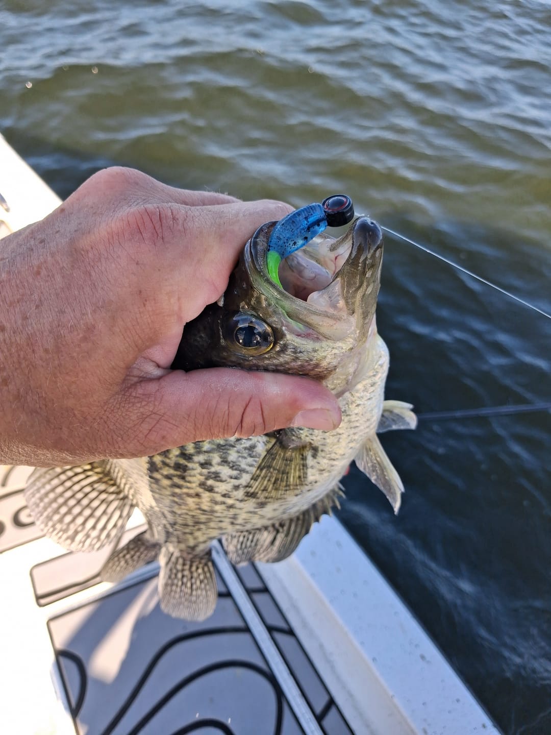 Customer photo review of Boat Flip Blue