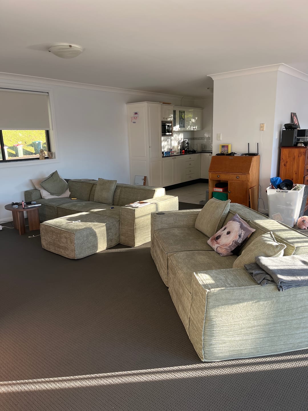Customer photo review of M1 Sofa Loveseat