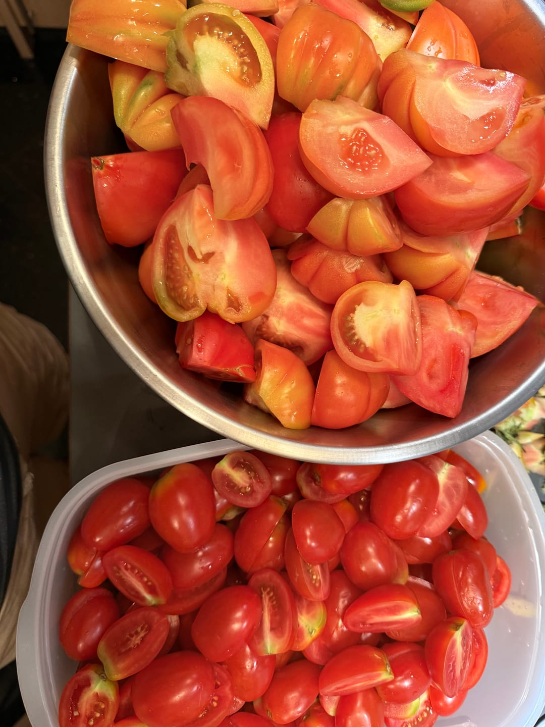 Customer photo review of Datterino Tomaten Bio aus Italien