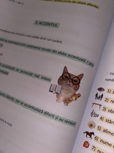 Recenzie cu fotografie de la un client despre Pachet Evaluare Națională (Română + Matematică) Bacademia
