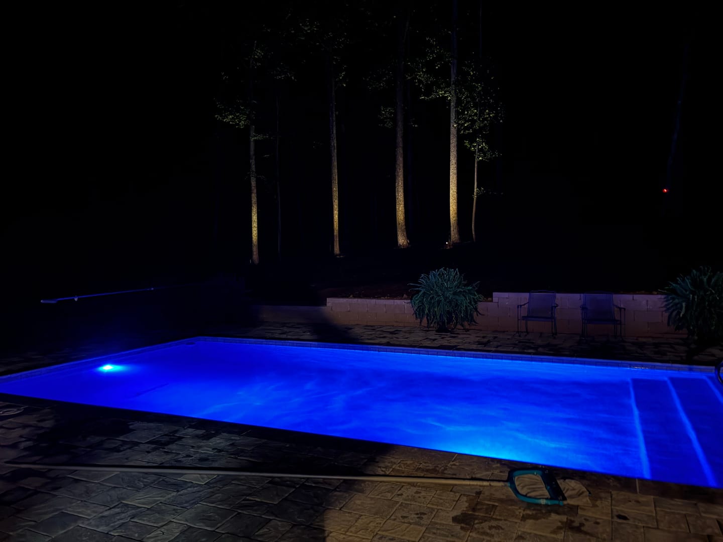 Customer photo review of TSUN Solar Spotlights For Trees Warm White