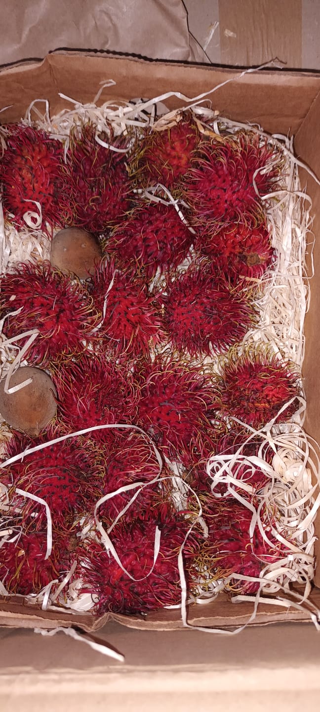 Customer photo review of Rambutan Aktionspreis %