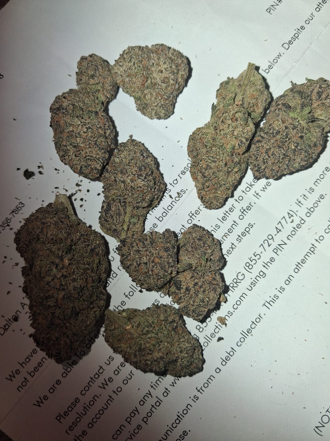 Customer photo review of Strawberry Ice Cream - Indoor
