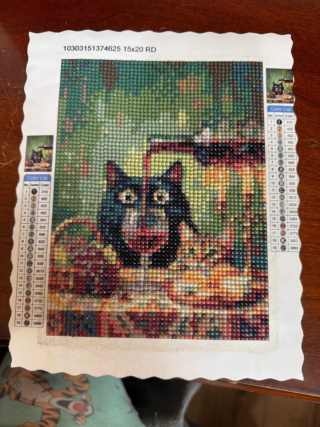 Customer photo review of Wine & Whiskers Night (Diamond Painting)