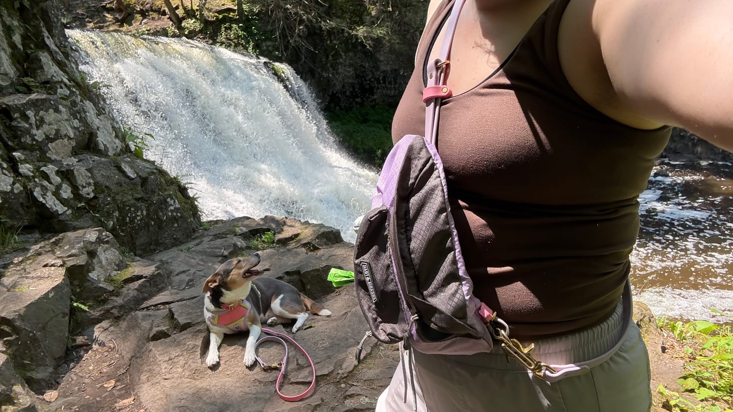 Customer photo review of Biothane Traffic Handle Dog Leash