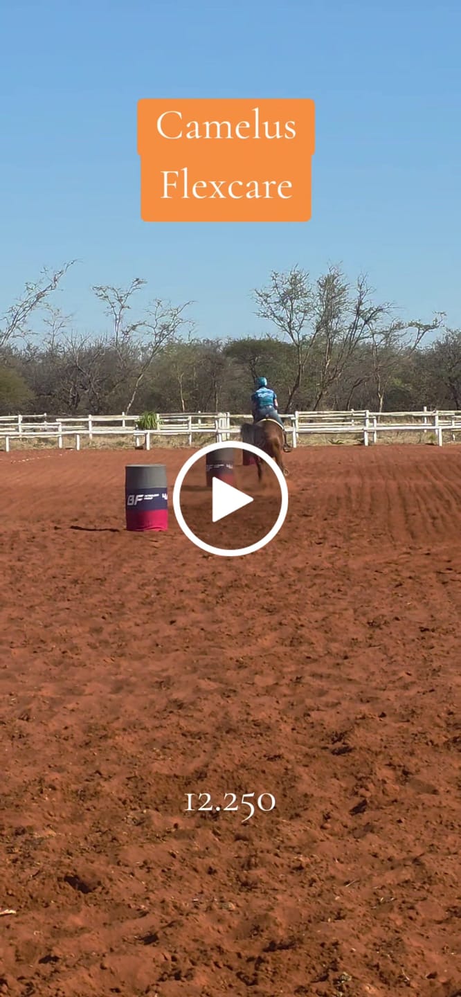 Customer video review of Equimin Trophy (Supplement For Horses & Game)