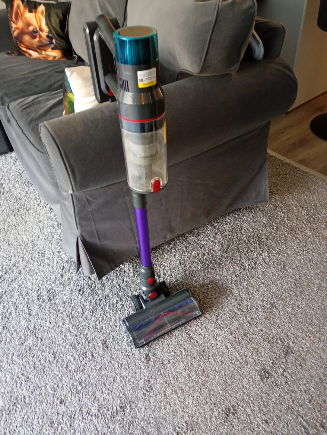 Customer photo review of Krachtige steelstofzuiger met automatische stofherkenning / Tot 60 minuten gebruiksduur / Zakloze stofzuiger voor tapijt, harde vloeren en dierenharen / 480W