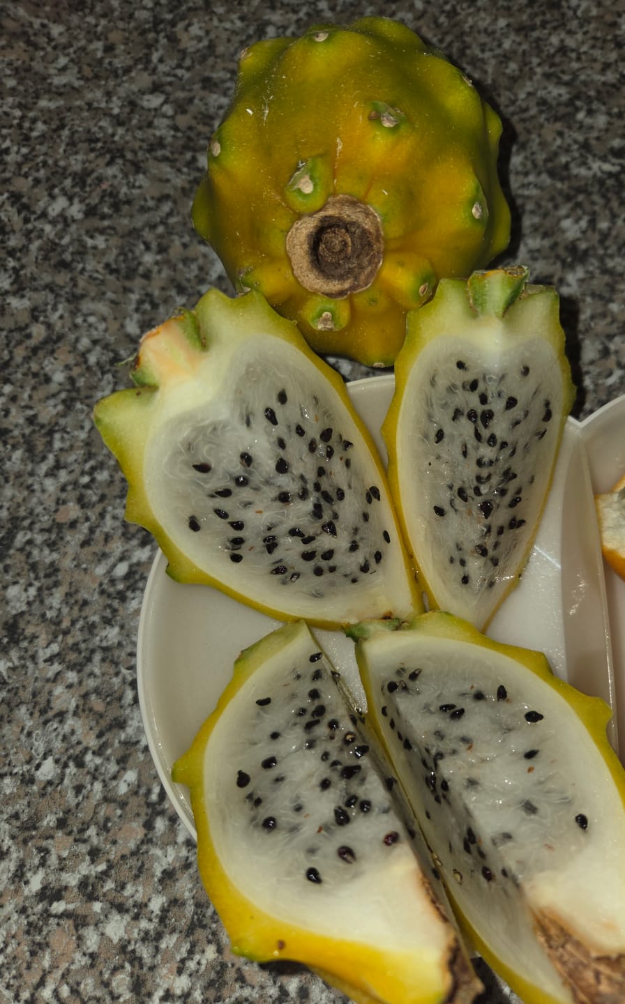 Customer photo review of Goldene Drachenfrucht Sonderaktion % 2kg