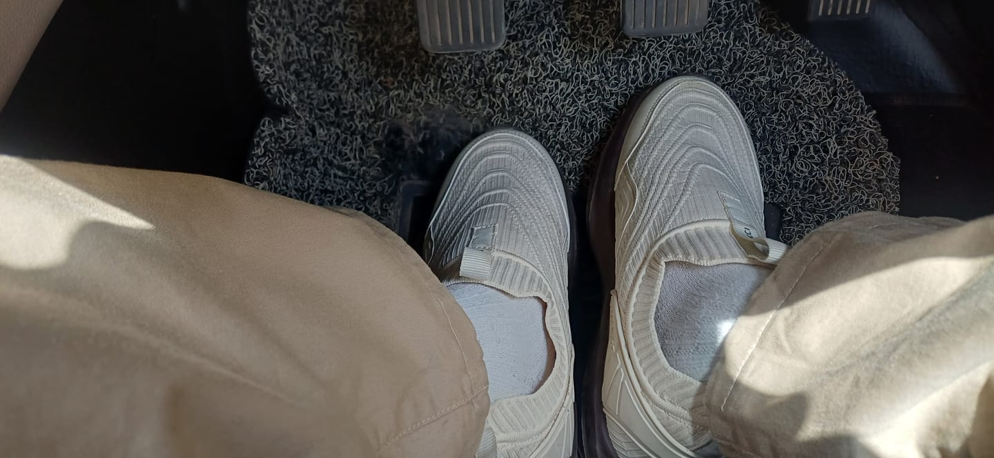 Customer photo review of EaseOn