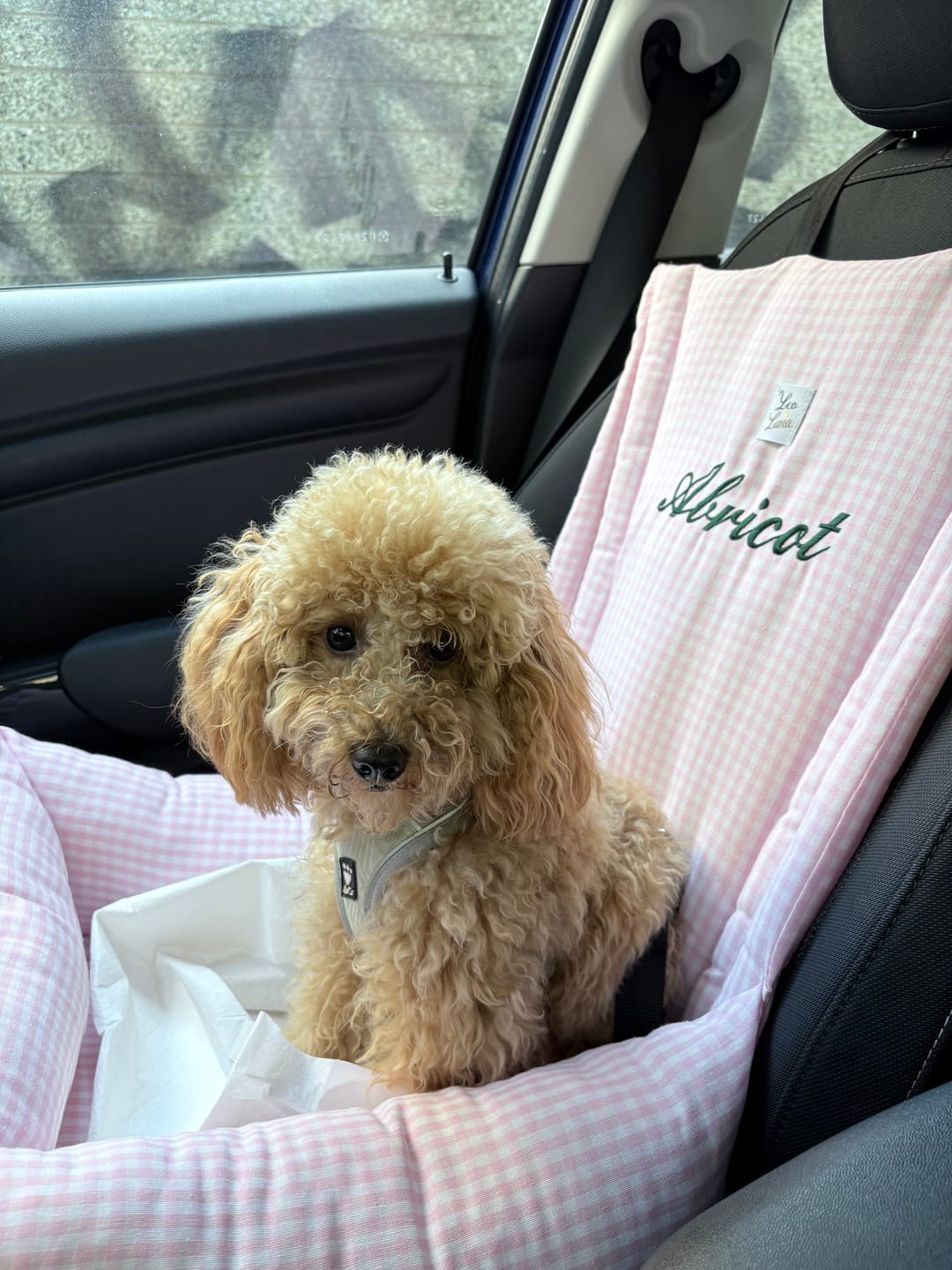 Customer photo review of Seggiolino Auto Cotone Vichy Rosa