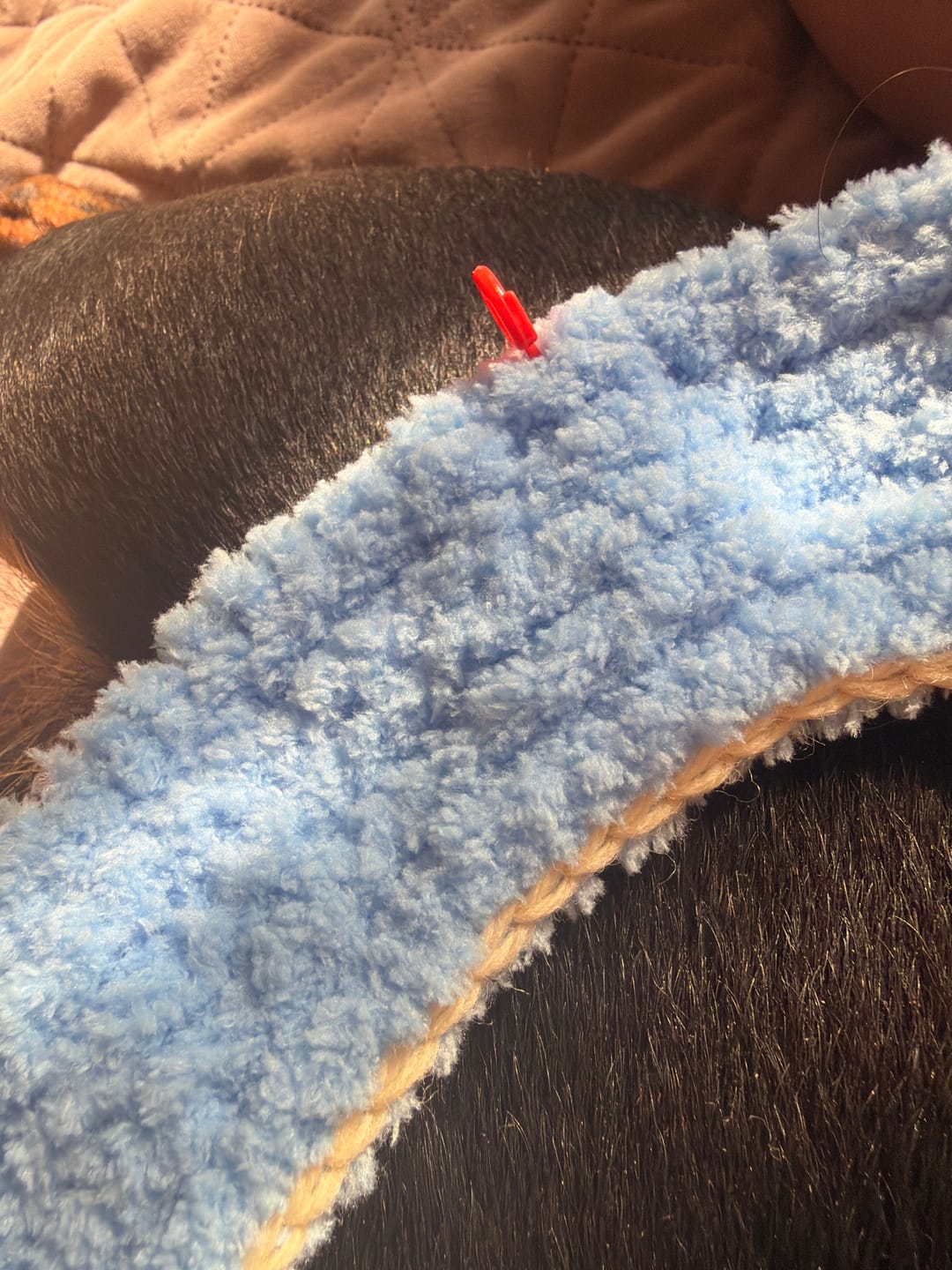 Customer photo review of Alize Softy Baby