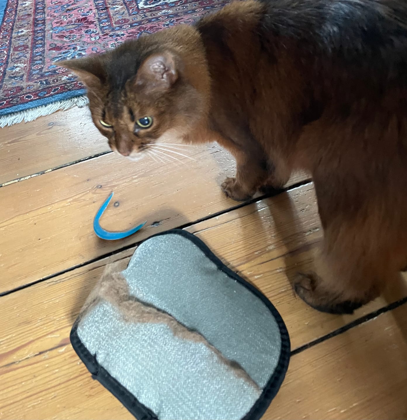 Customer photo review of Furpect - Effektiv Hårfjerningshandske