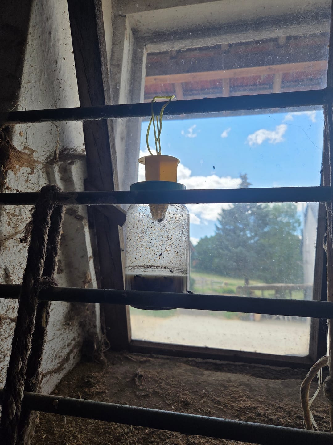 Customer photo review of HorseSafe LiquidTrap – Schluss mit Fliegenstress auf deinem Hof
