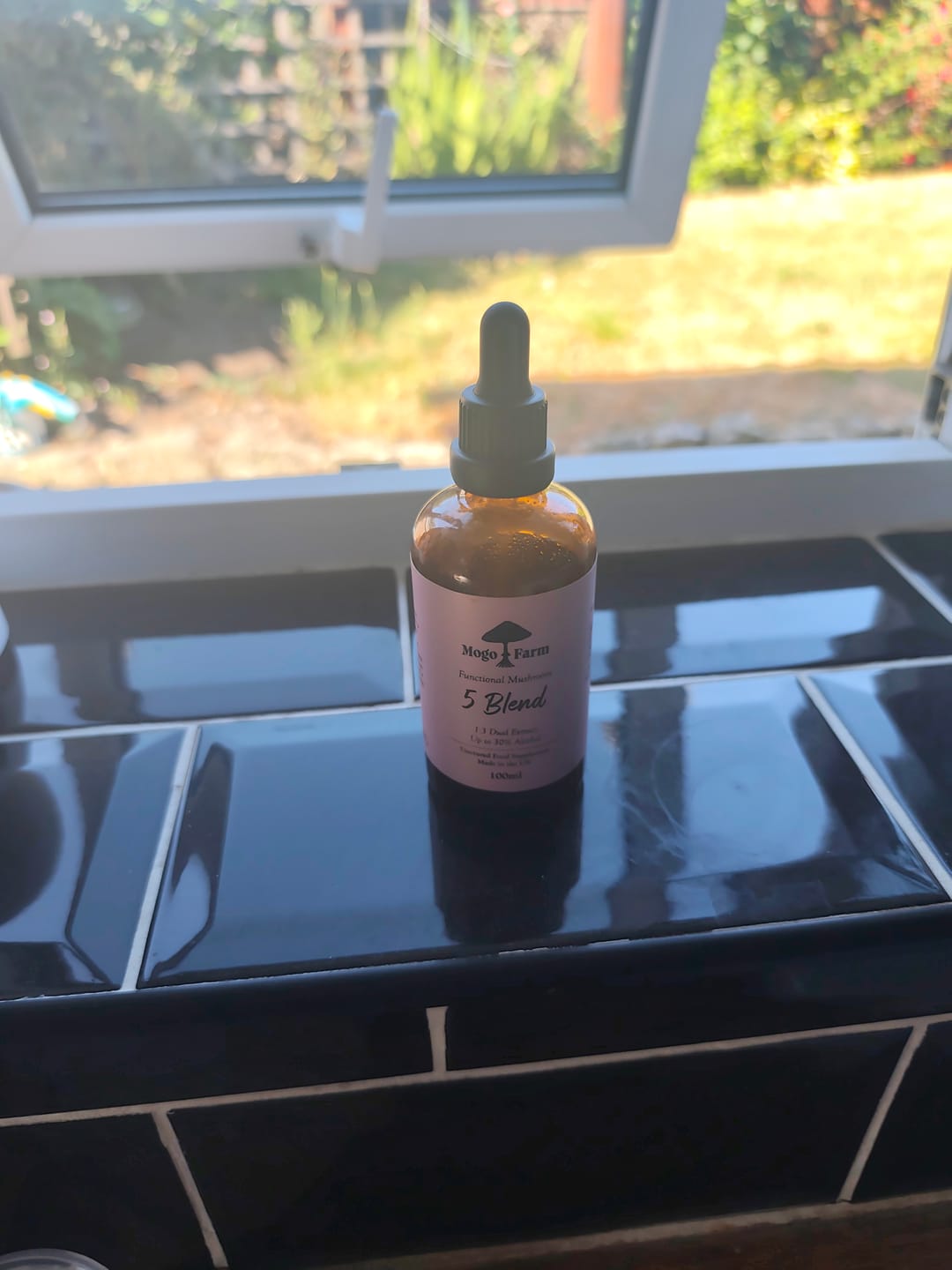 Customer photo review of 5 Mushroom Blend Tincture