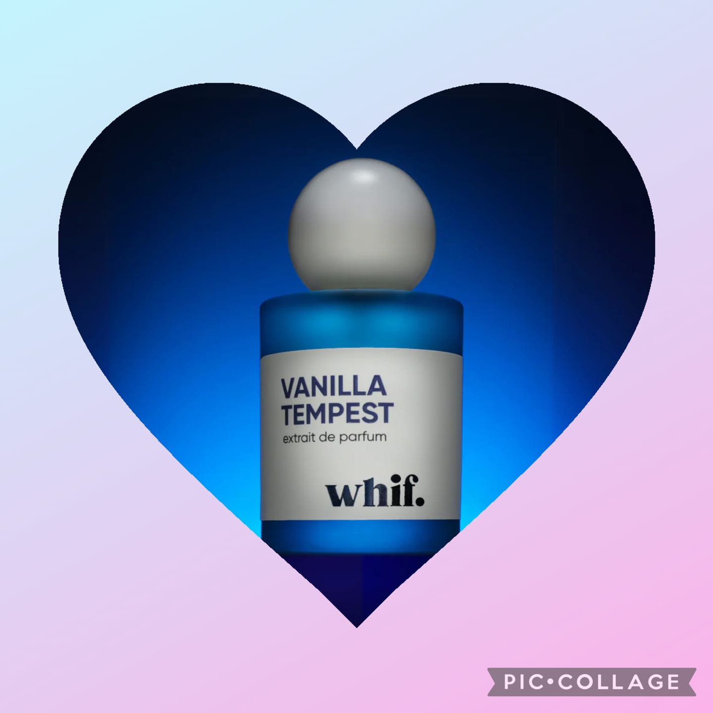 Customer photo review of Vanilla Tempest