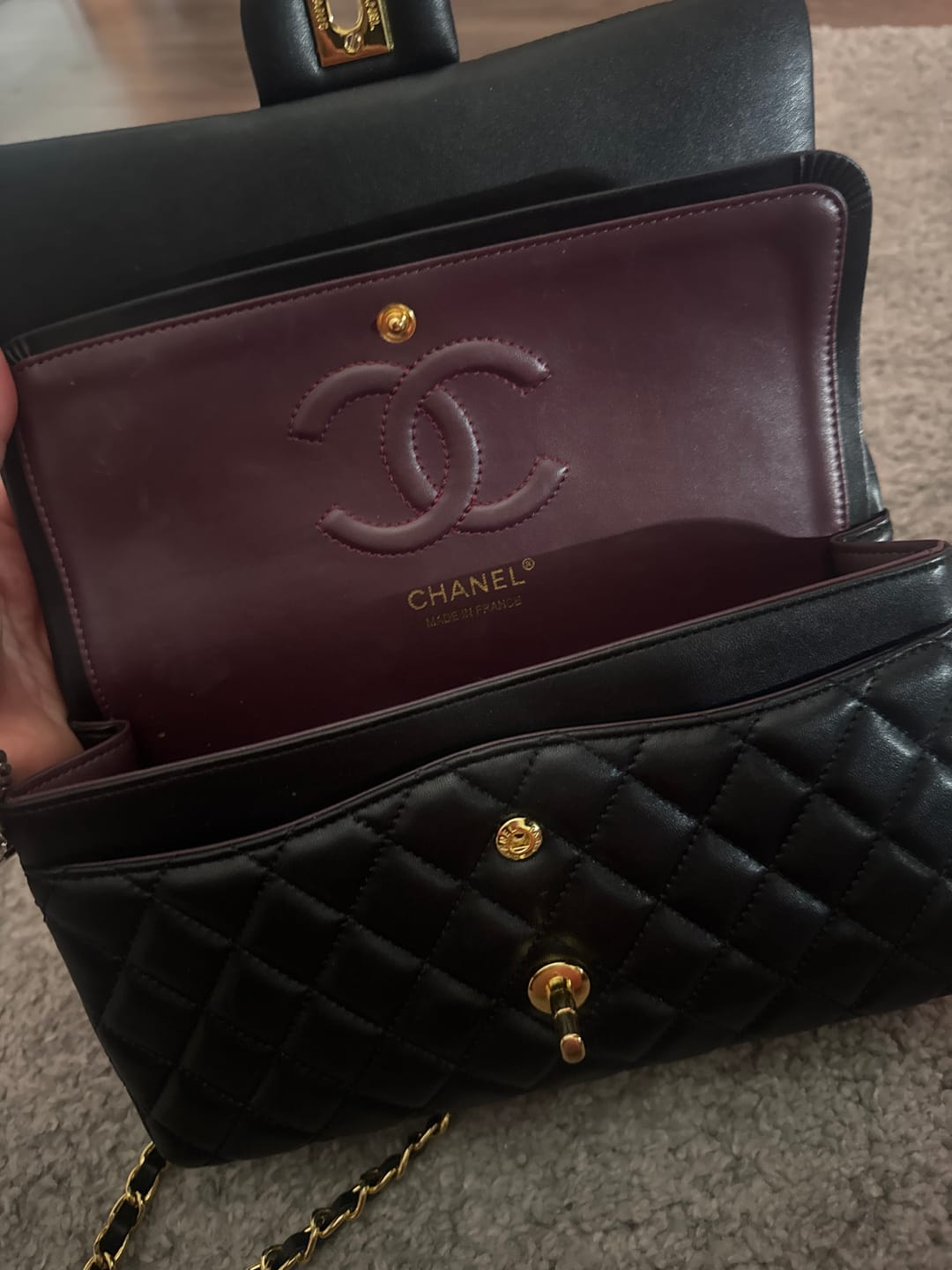 Customer photo review of Chaleni Bag