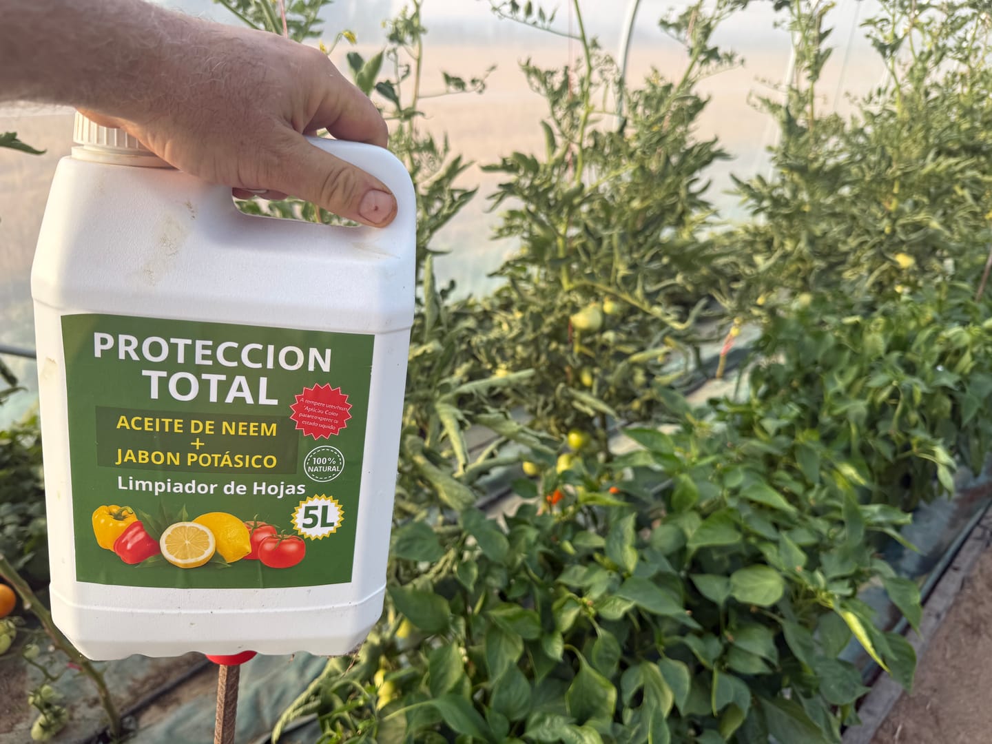 Customer photo review of FERTIBONO PROTECCIÓN TOTAL | Solución Multiusos Natural para Plantas |5 l| Jabón Potásico + Aceite de Neem | Ideal para Huertos y Jardines
