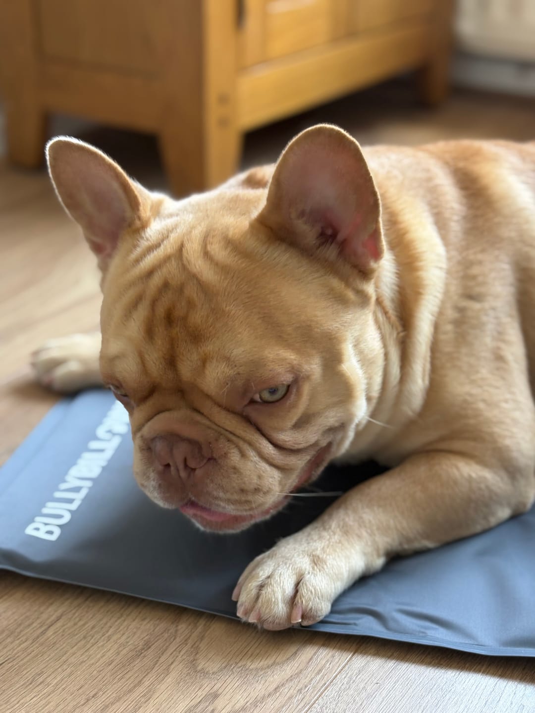 Customer photo review of Arctic Cooling Mat