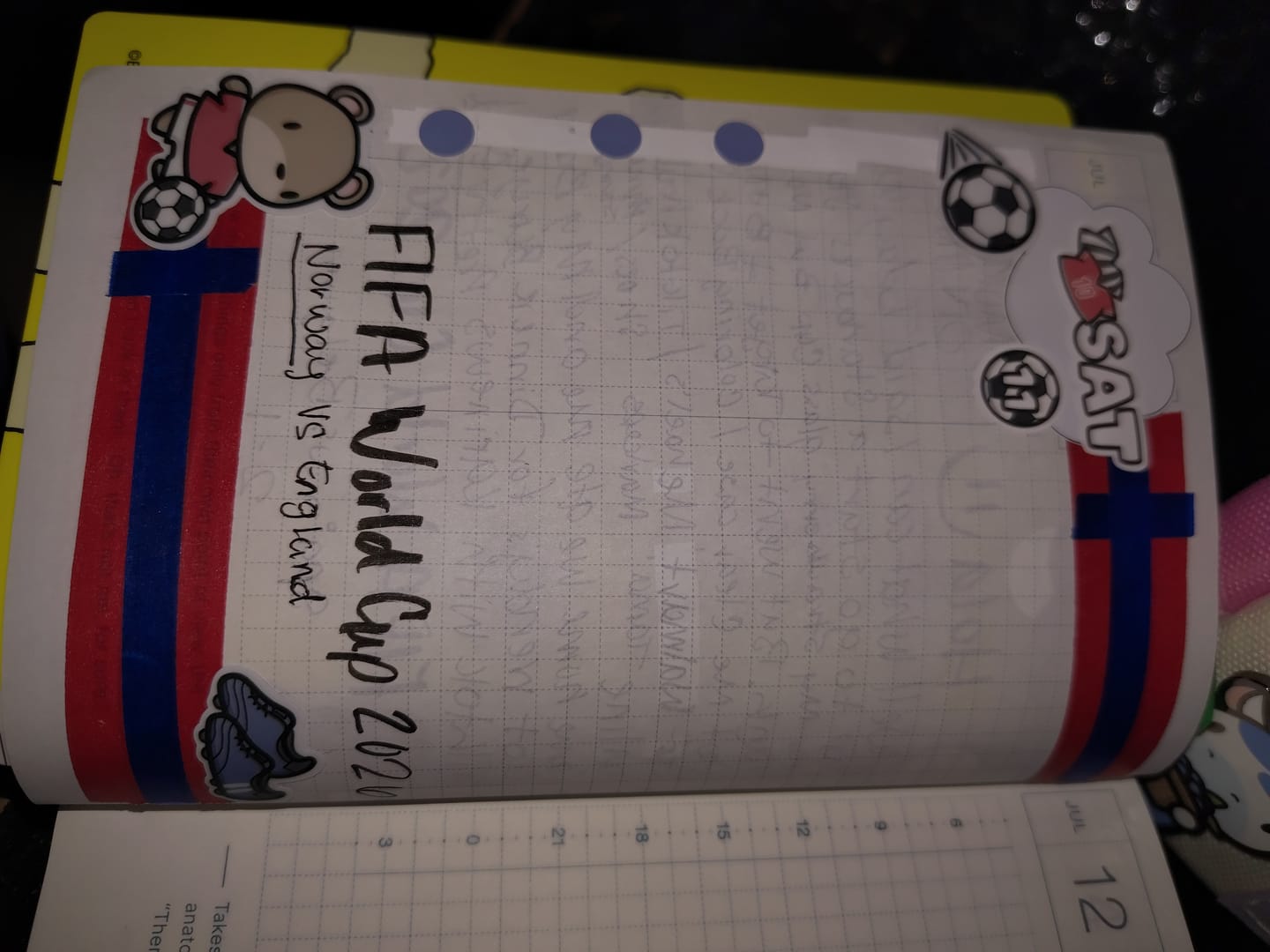 Customer photo review of Soccer Bears Days and Date Covers