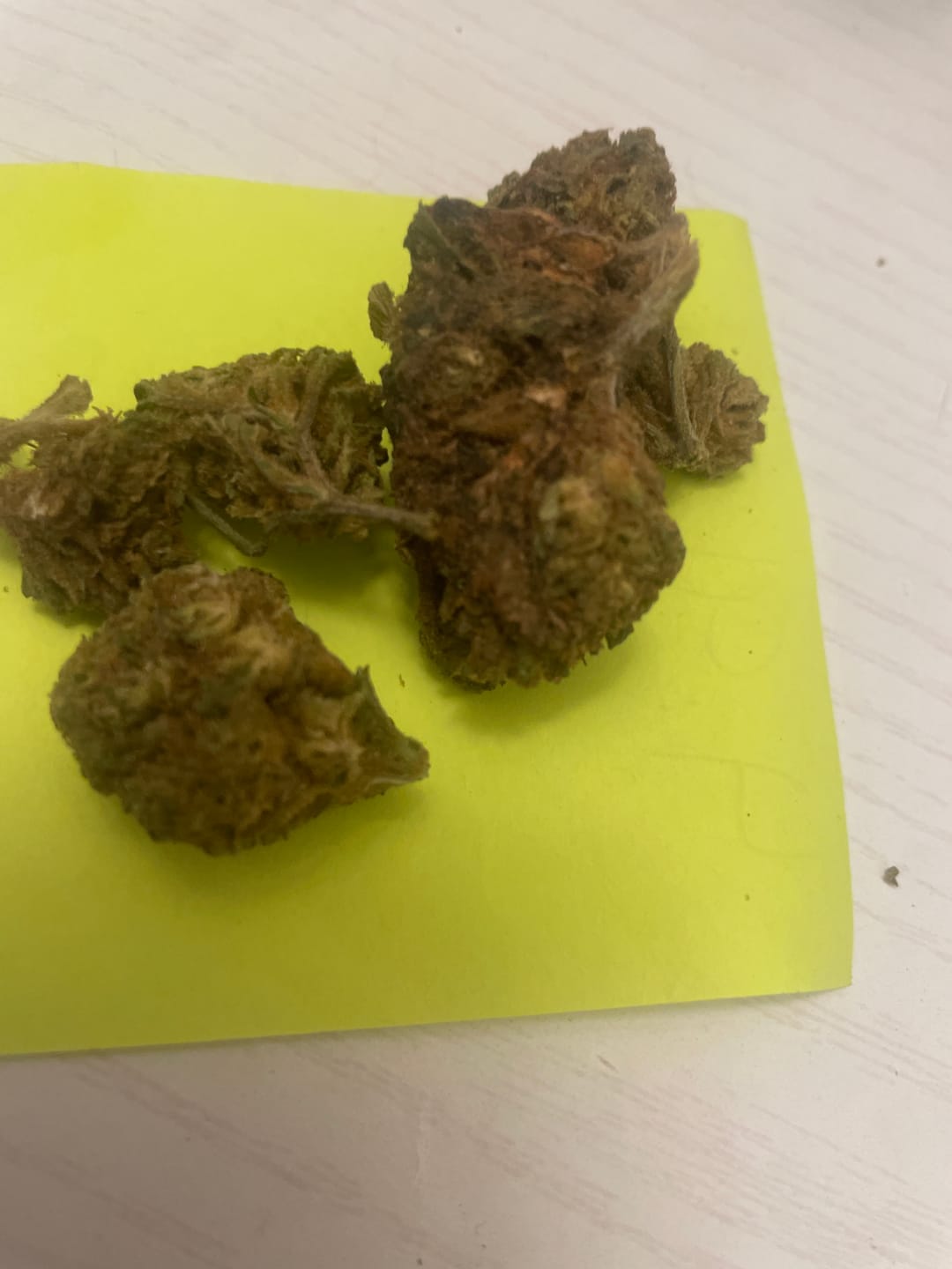 Customer photo review of Gorilla Glue - 28 Grams - Hybrid