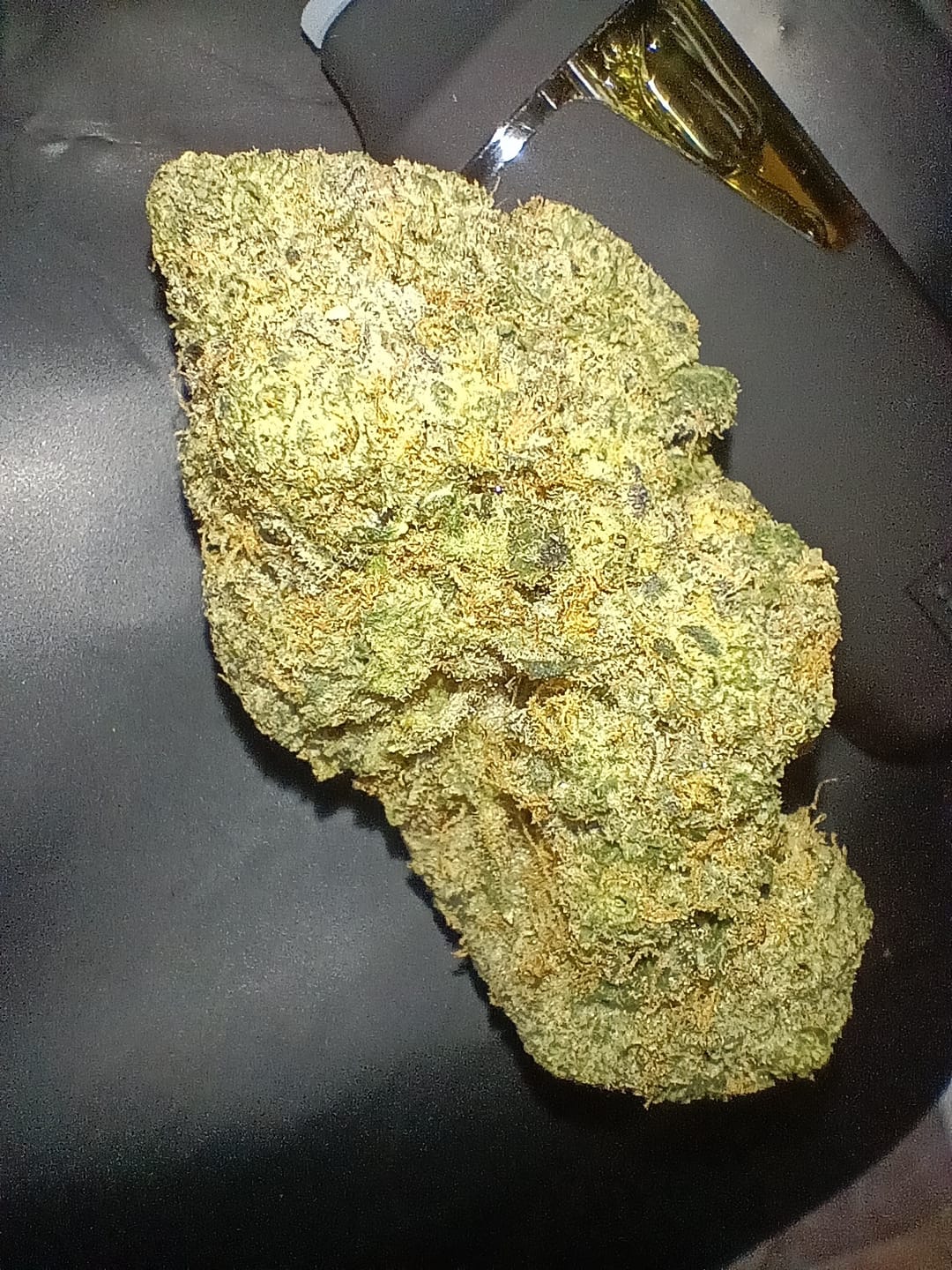 Customer photo review of Biscotti THCA Flower (Premium)