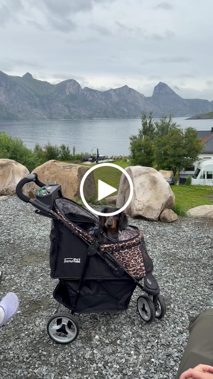 Customer video review of Allure lemmikkirattaat