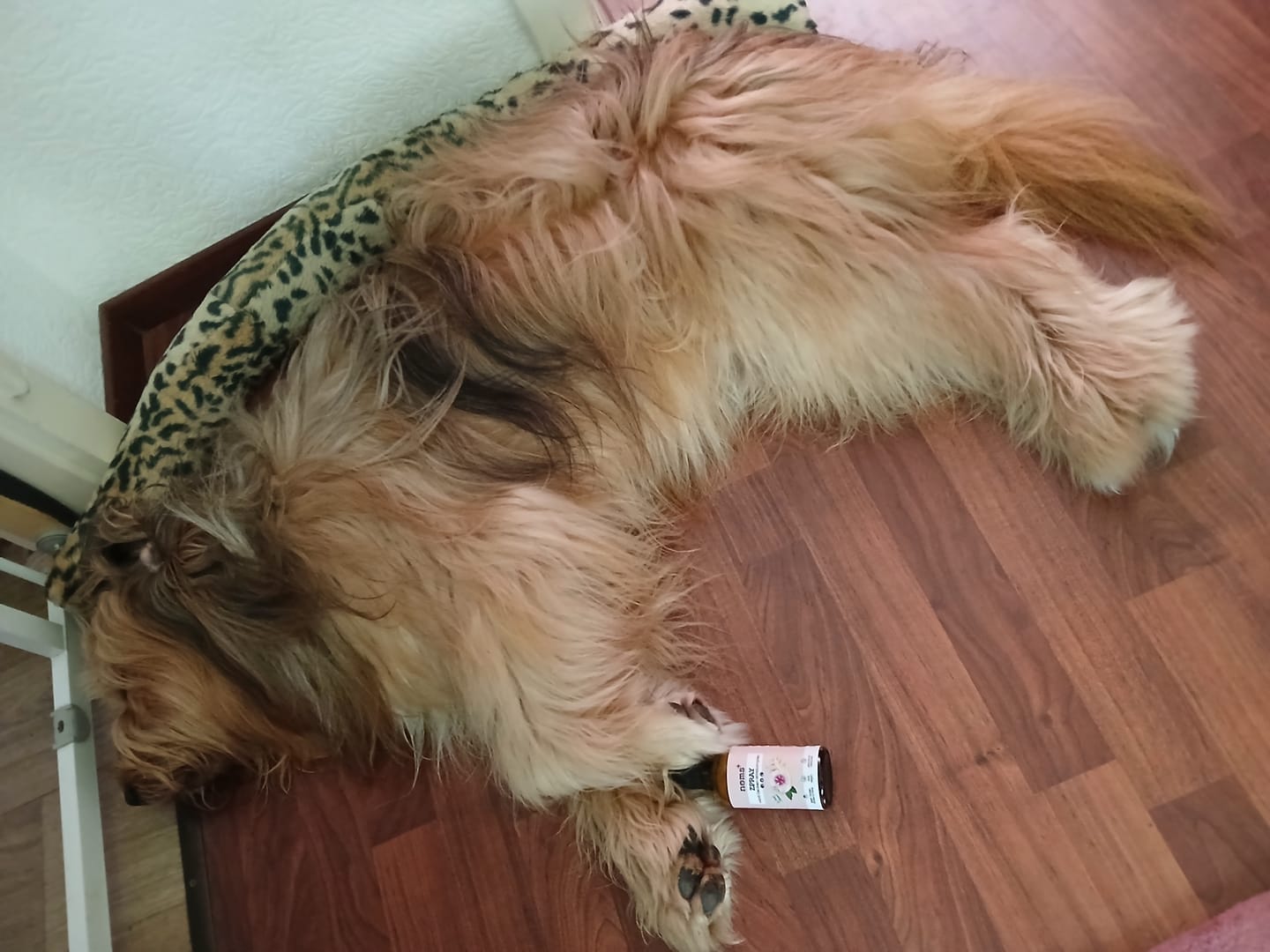 Customer photo review of Zpray für Hunde und Menschen gegen Zecken, Flöhe, Milben & Mücken