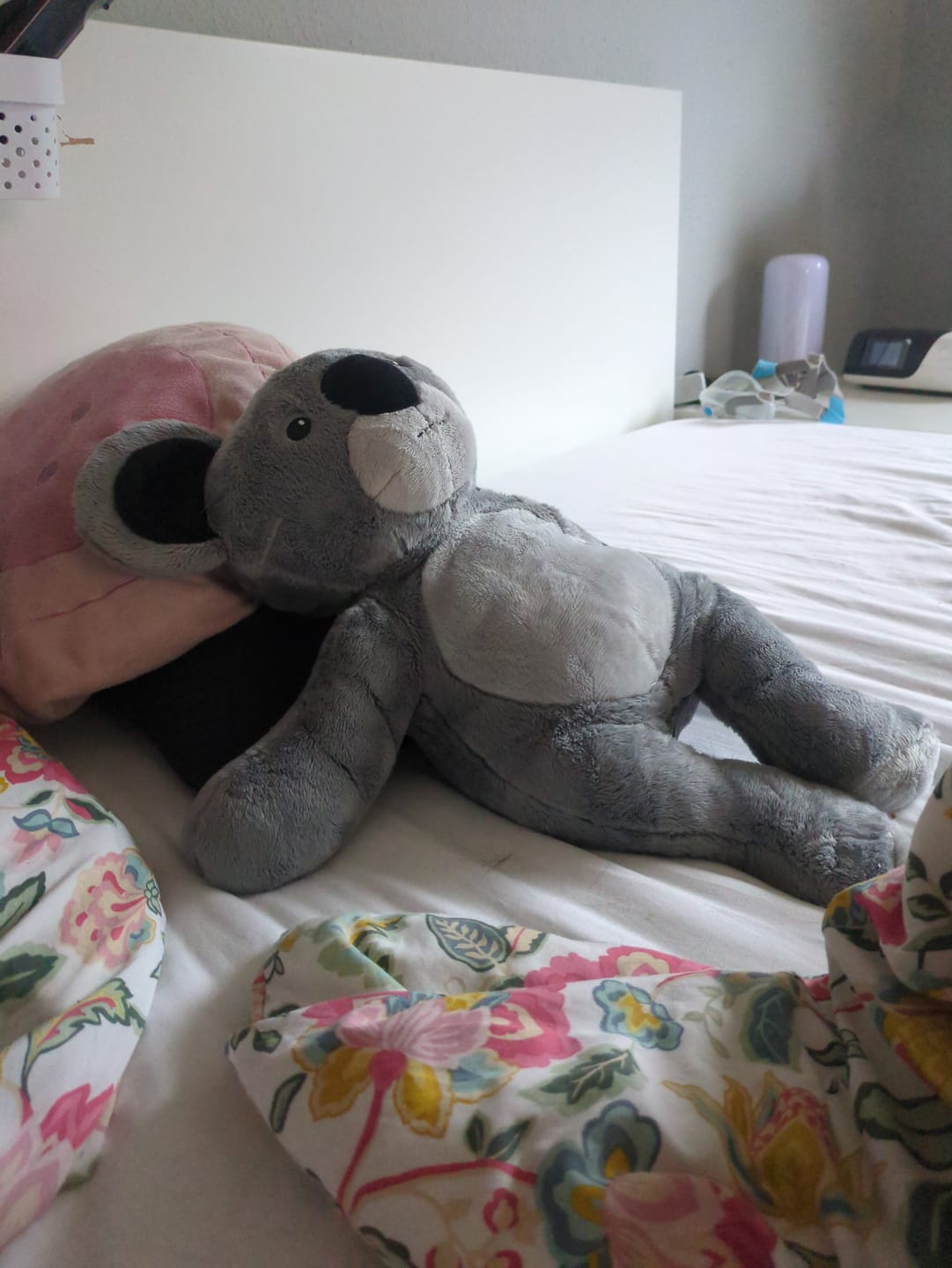 Customer photo review of Lotgenootje Koala 2kg