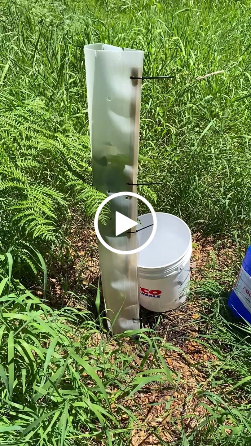 Customer video review of Tree Pro Grow Tubes