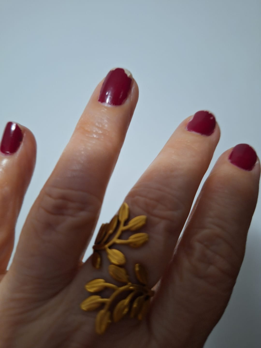 Customer photo review of Anel Ramos Ajustável Banhado em Ouro 18K