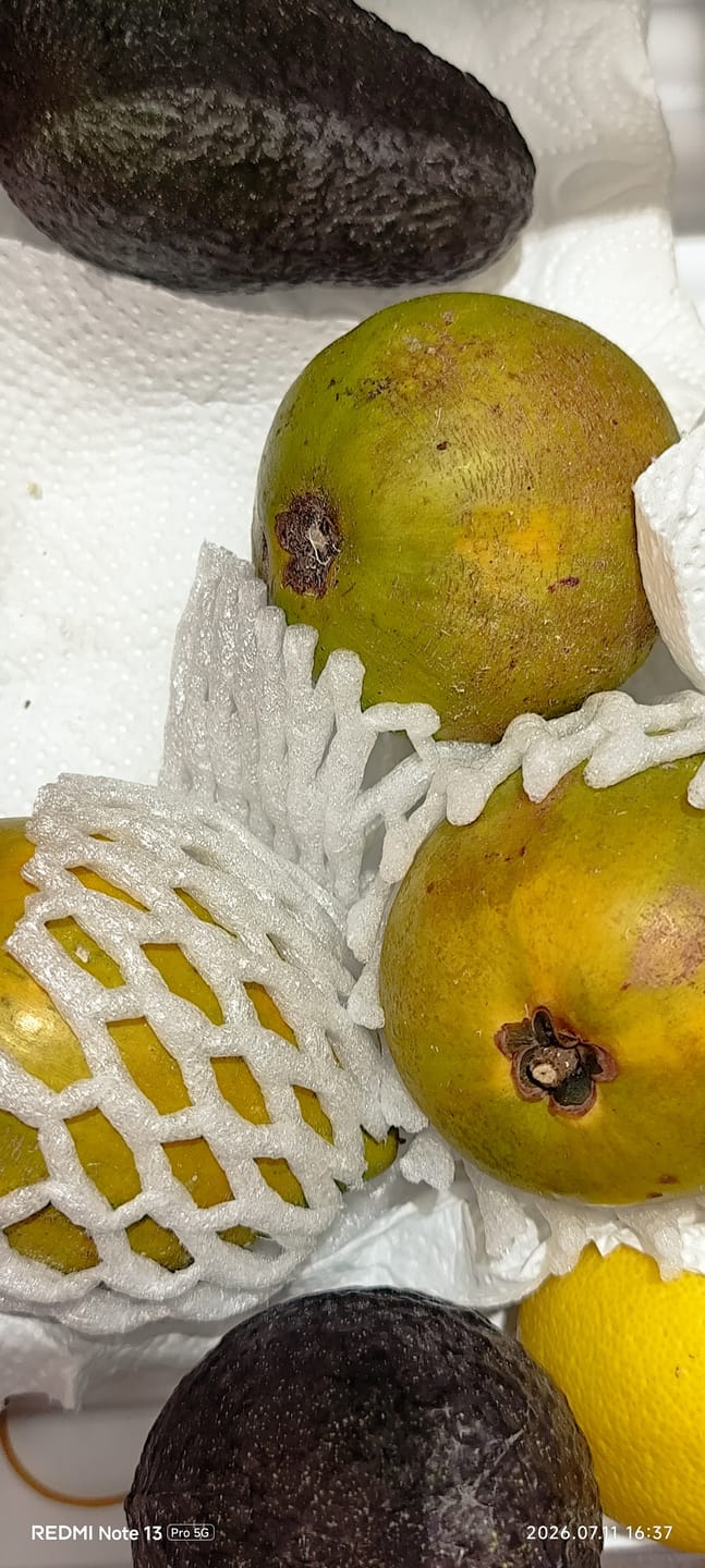 Customer photo review of Eggfruit (Canistel)