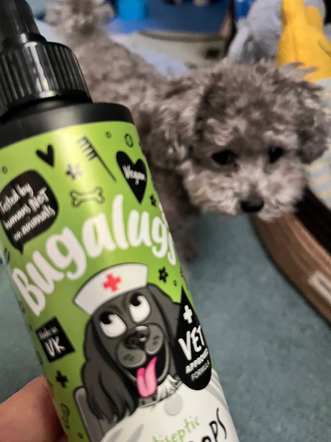 Customer photo review of Antiseptic Ear Drops for Dogs, Cats & Pets