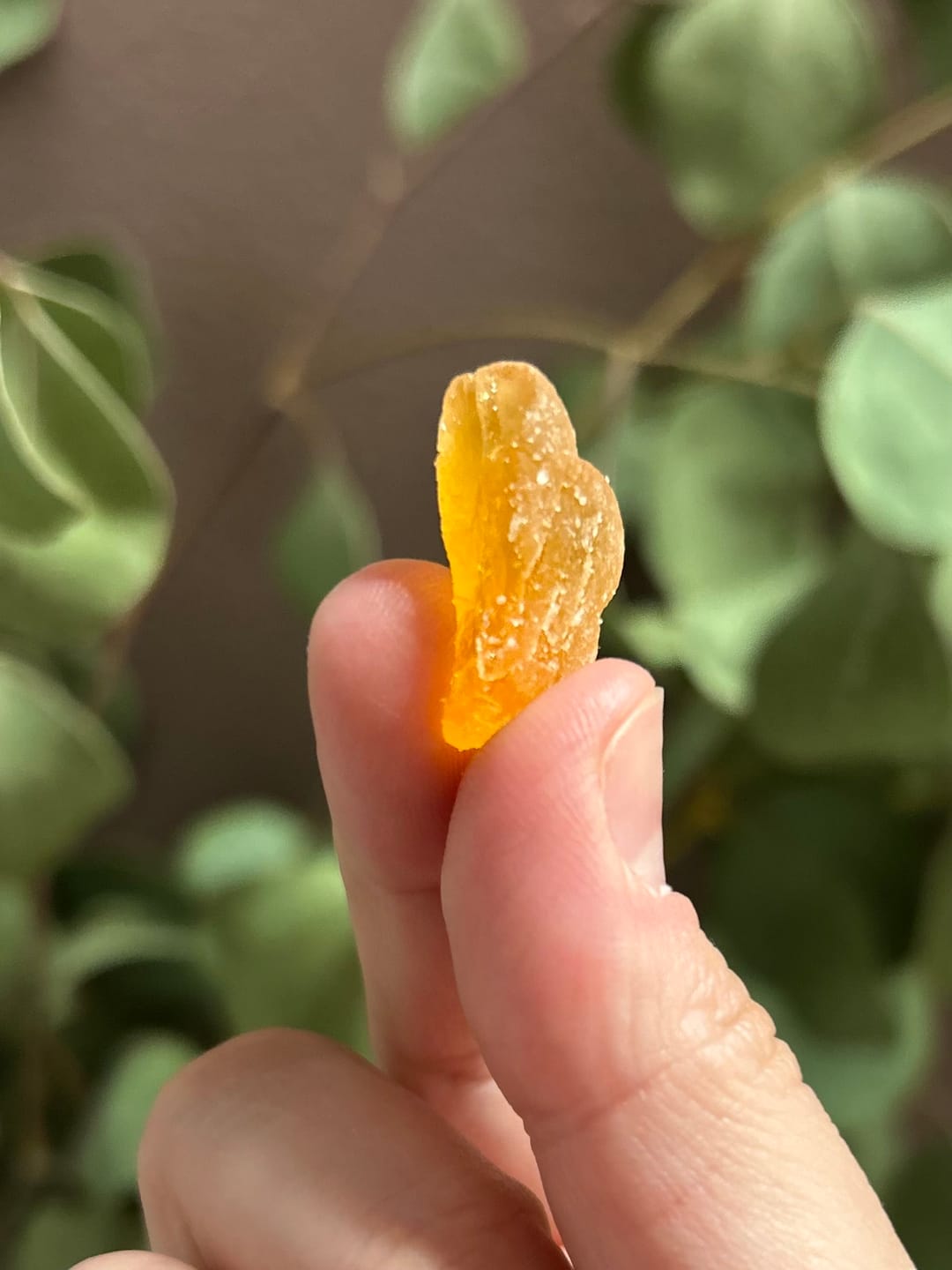 Customer photo review of Apple Mango (10mg) Value Pack