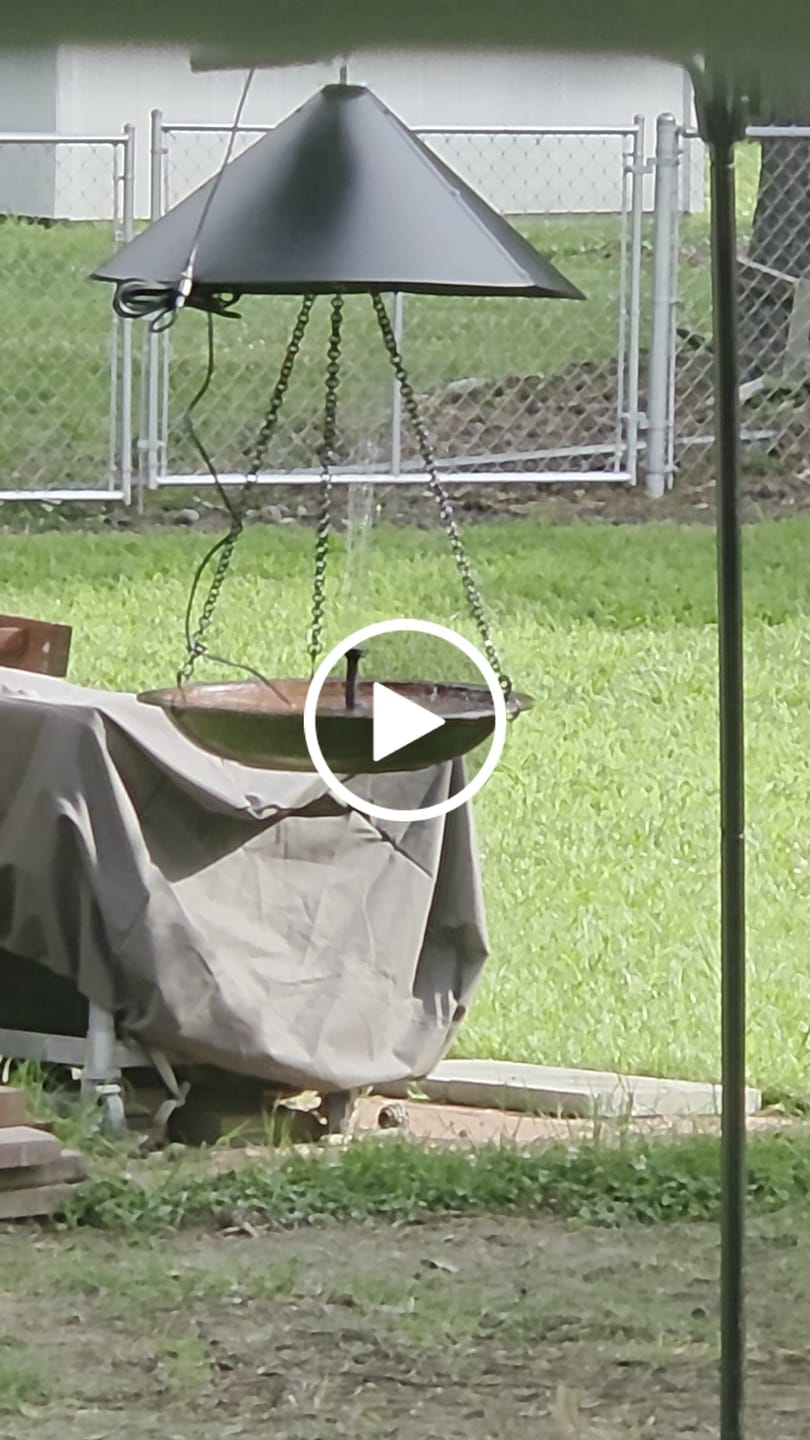 Customer video review of Solar Hanging Bird Bath