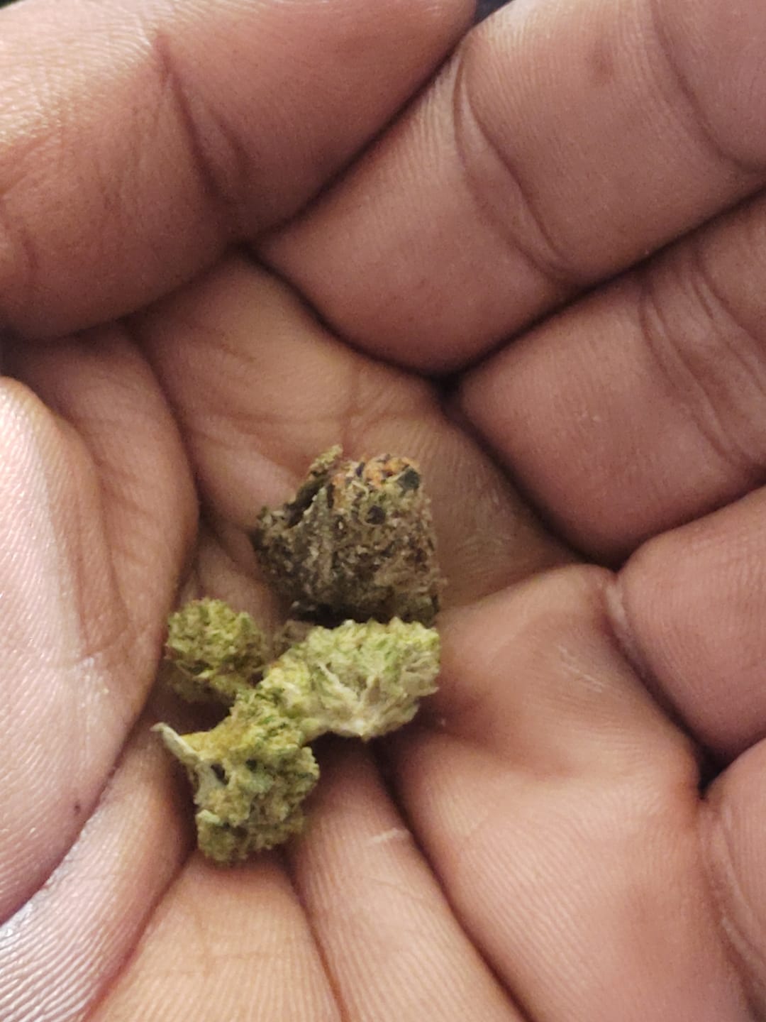 Customer photo review of Heavy OG - Minis - 28 Grams - Indica