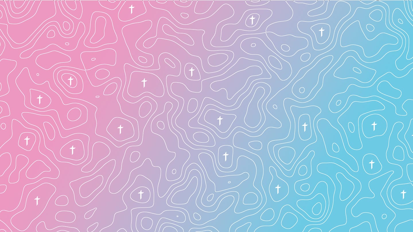 Customer photo review of Topo Wallpaper Bundle