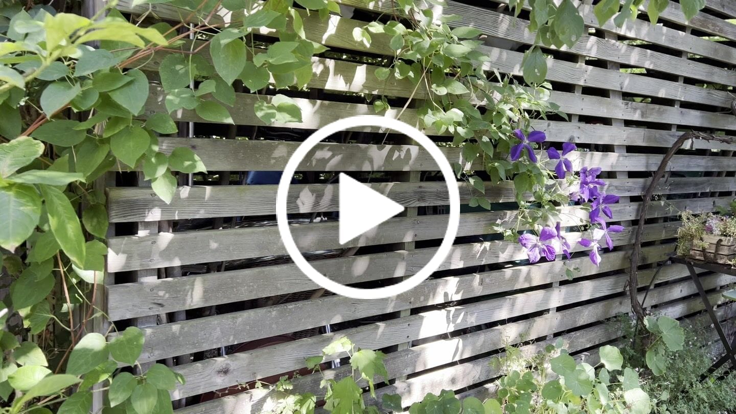 Customer video review of Boum Pro Wassertank 35 L