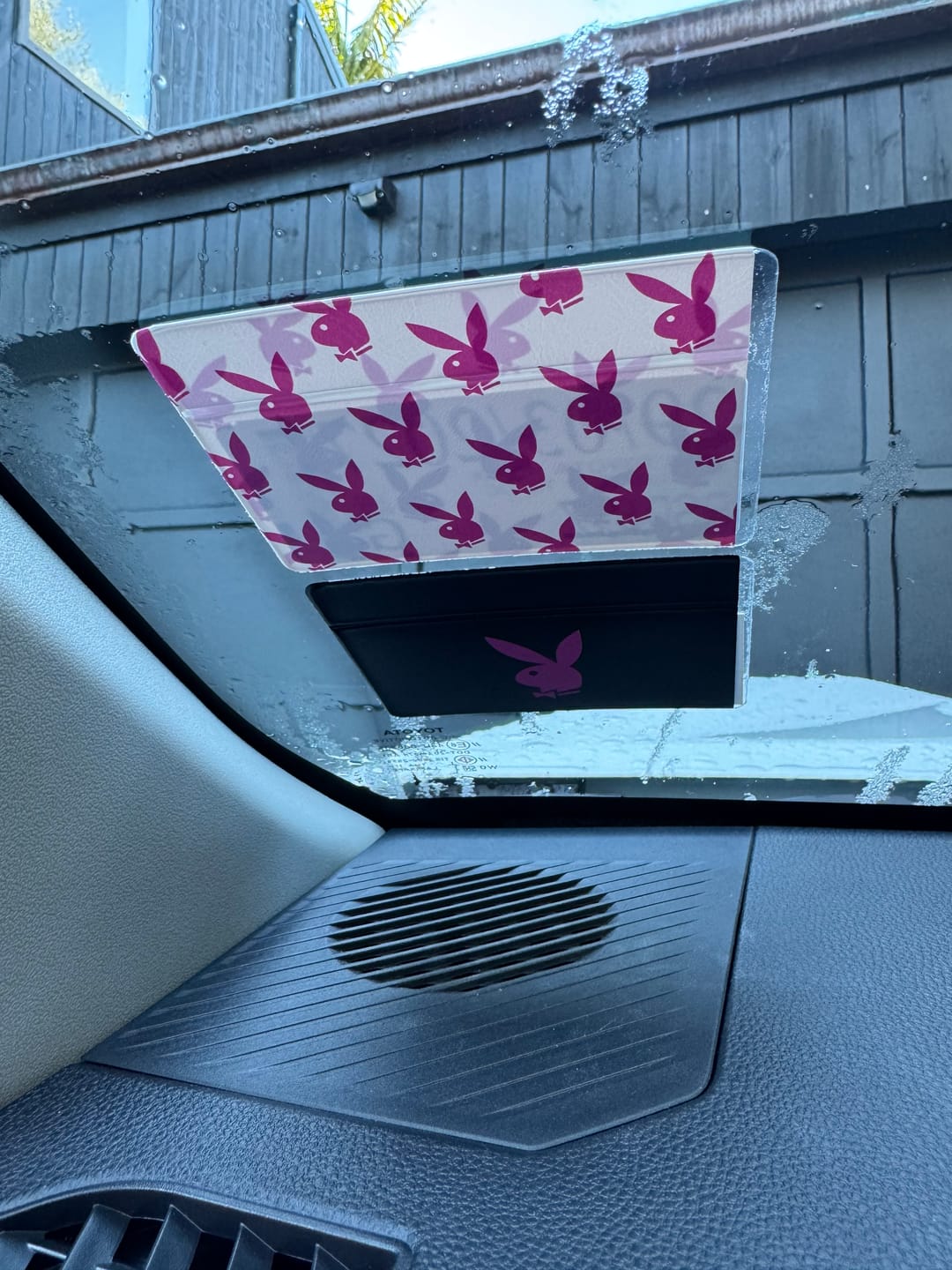 Customer photo review of Playboy Bunny Pink