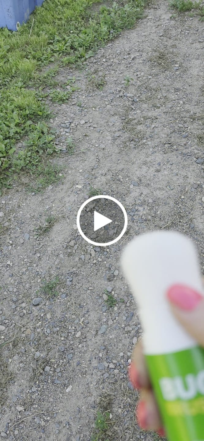 Customer video review of Mystery Brush