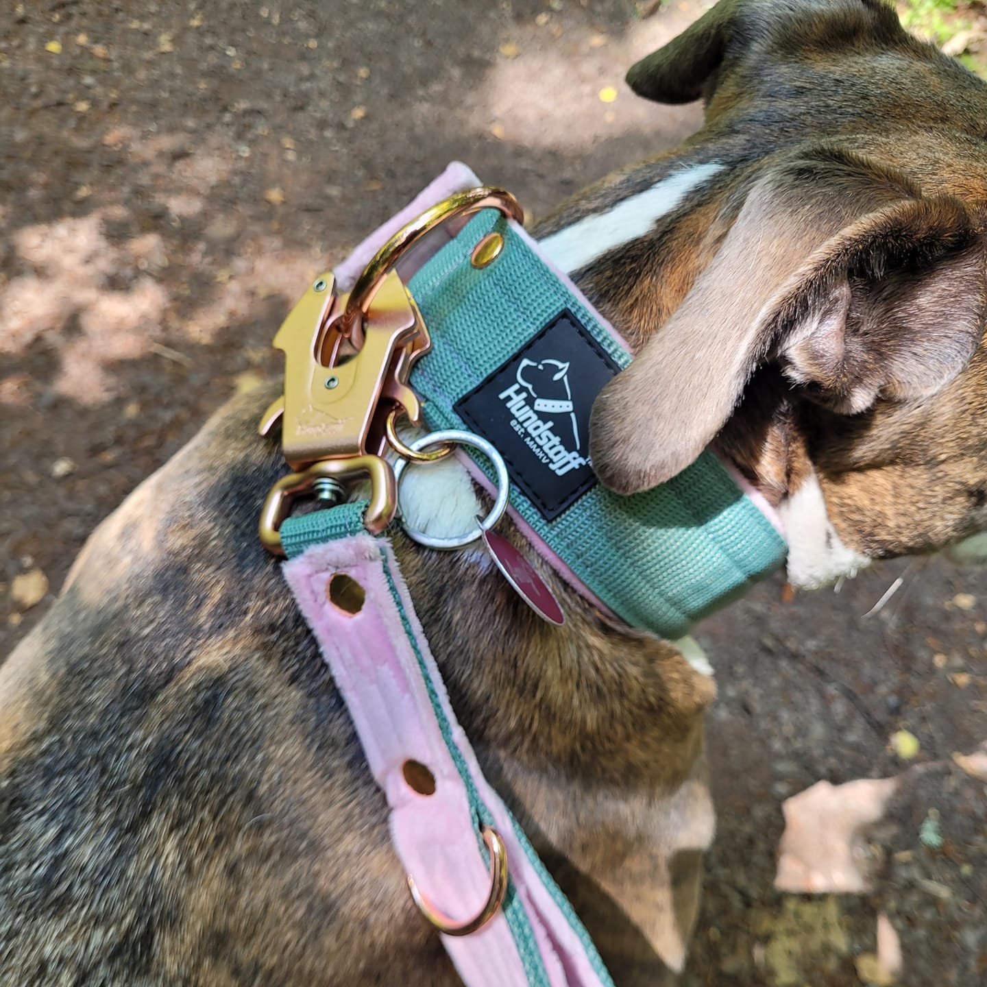 Customer photo review of Multi Guard Leash Rose Edition Pastel Green - Multi-väktarkoppel
