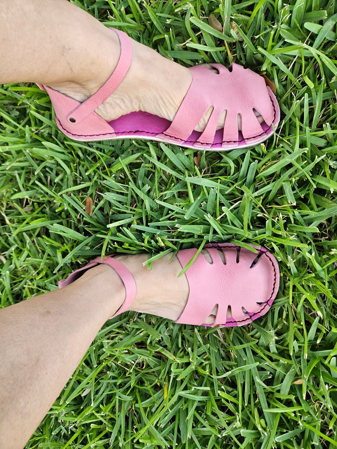 Customer photo review of Monstera Volanato - Ribes