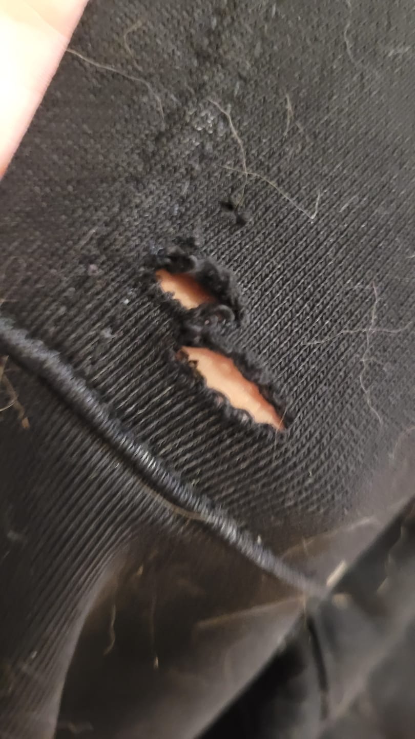 Customer photo review of Callback Ping Cyn Hoodie