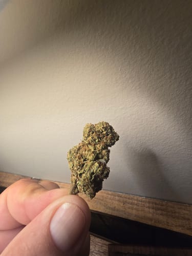 Blueberry Muffin - 28 Grams - Indica photo review