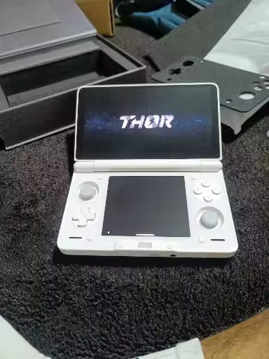 Customer photo review of Ayn Thor