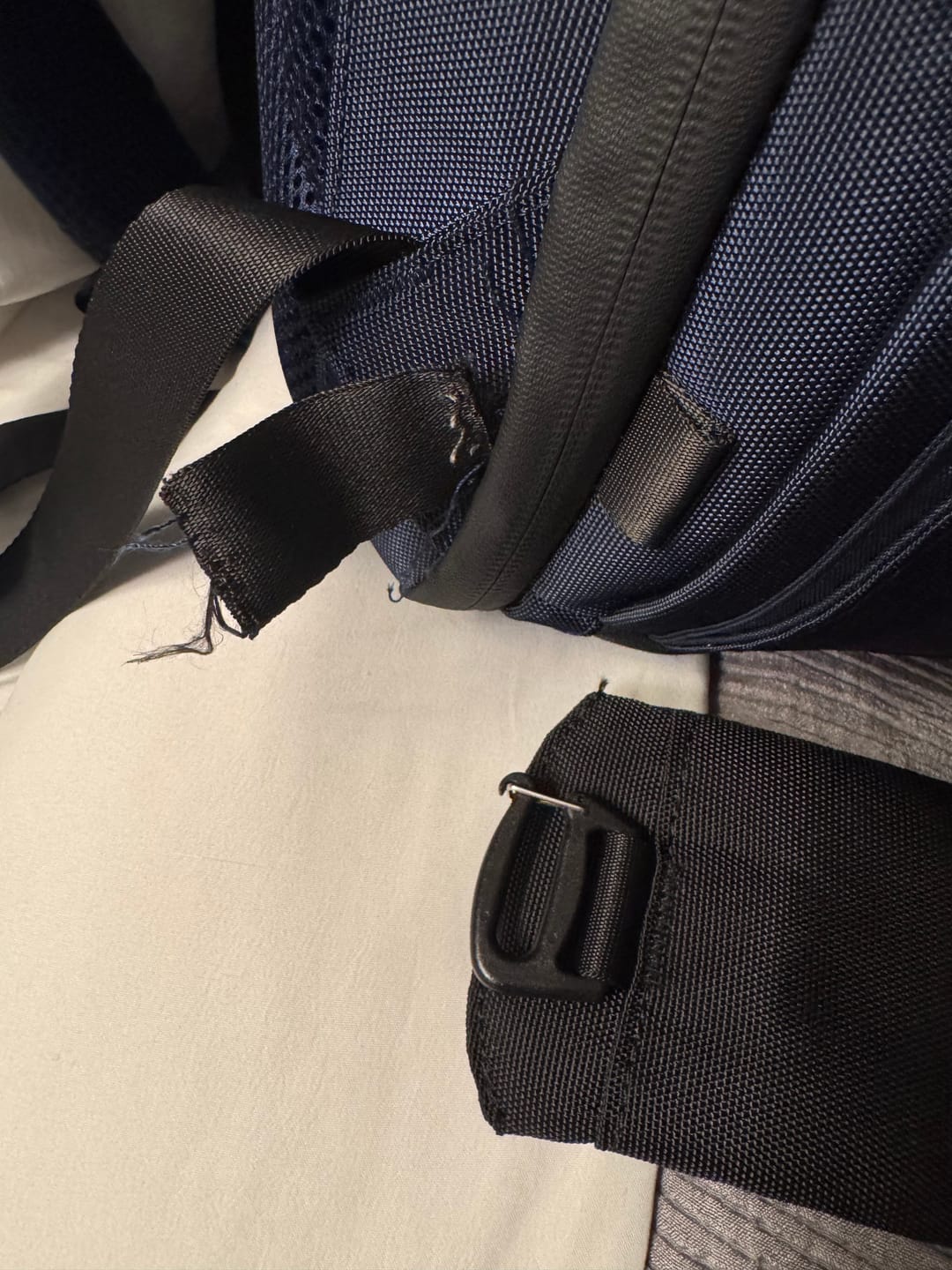 Customer photo review of The Organizer 20L