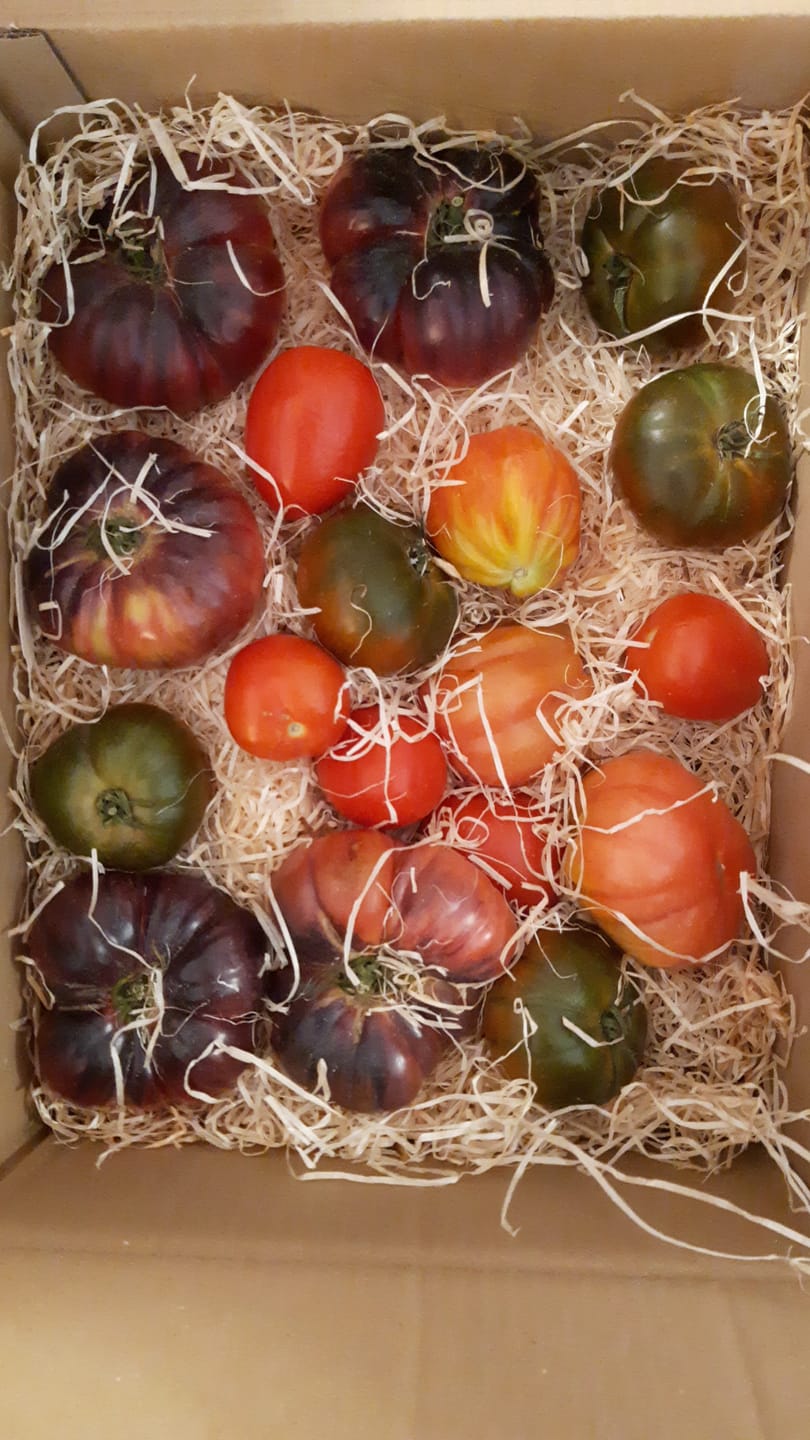Customer photo review of Tomaten Mix von Julian Box 3kg Aktionswoche %