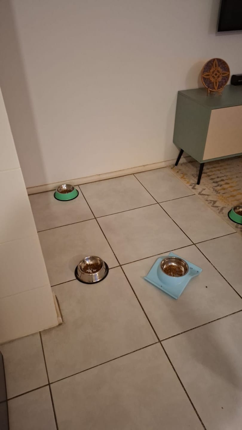 Customer photo review of PetFamily Foods Gato Pollo-Salmón