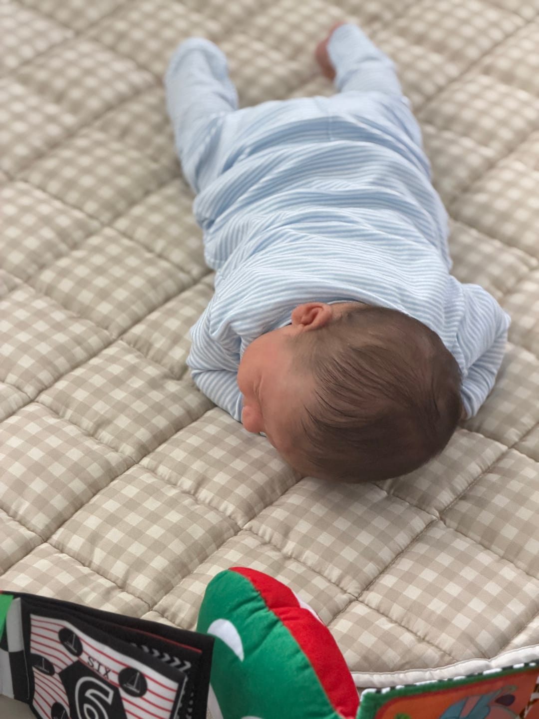 Customer photo review of Picnic Gingham Play Mat - Beige