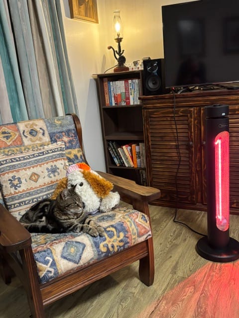 Customer photo review of Indoor & Outdoor Infrared Heater