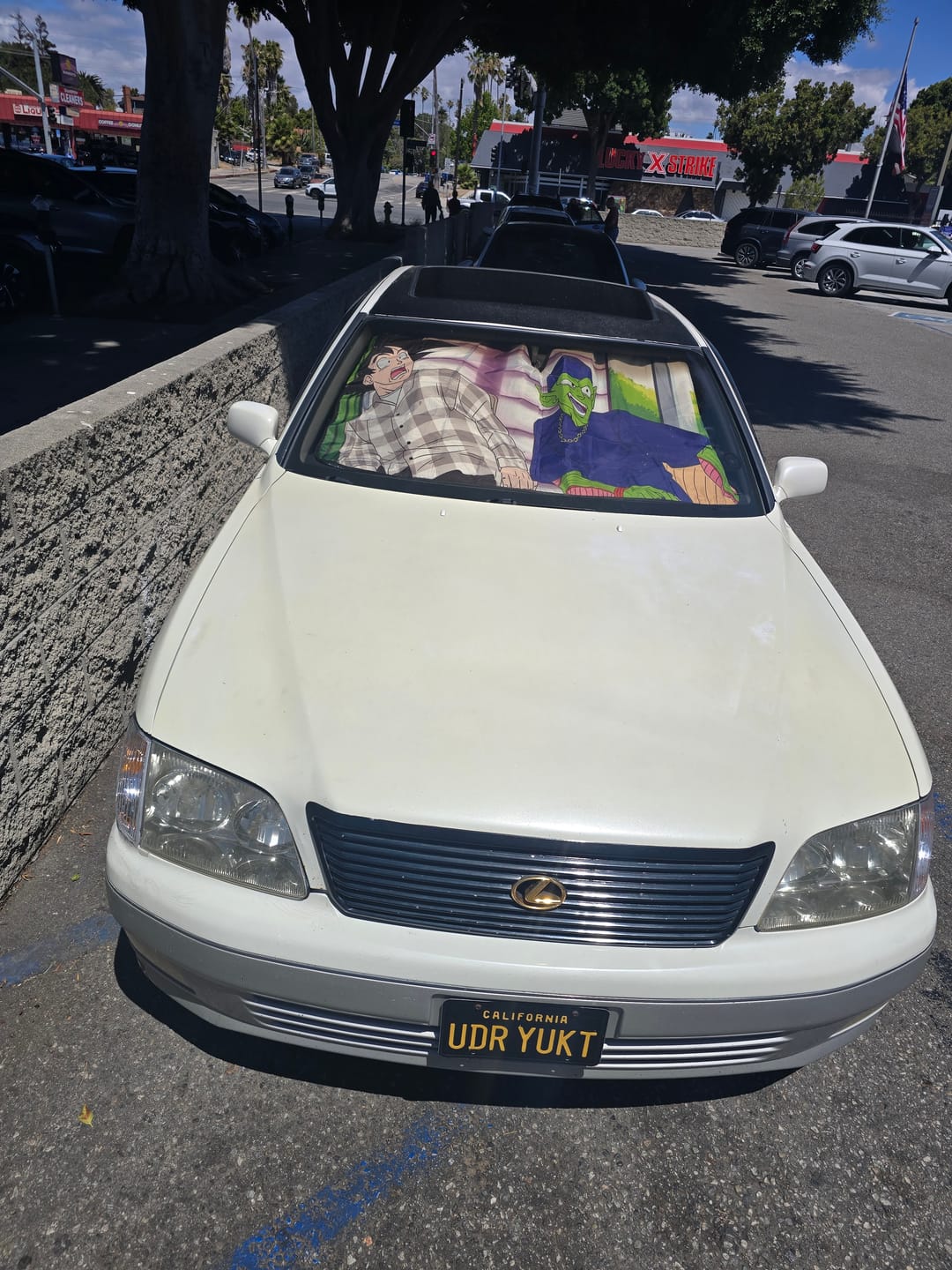 Customer photo review of Gearhumans 3D Friday Dragonball Custom Car Auto Sunshade